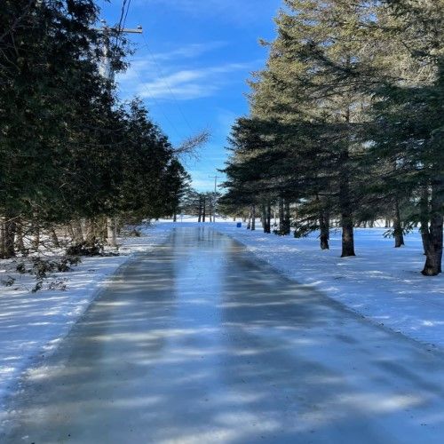 Journée blanche - Petit pingouin (patinage) et cinéma
